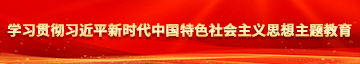 小鸡鸡插入女生的逼免费看学习贯彻习近平新时代中国特色社会主义思想主题教育